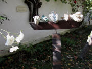 F�nf Tauben und wei�e Rosen am 11.10.2010