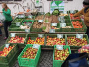 Steinhaldehof am 6.11.2010 auf dem Bauernmarkt Littenweiler