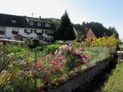 Blick nach S�den zum Litzelstalerhof  am 11.10.2010