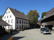 Blick nach Westen zum Merzenhof am 11.10.2010