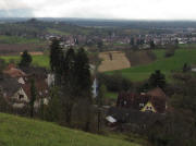 Blick von Ruine Landeck nach S�den �ber Mundingen bis Freiburg am 18.11.2010