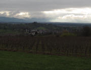 Blick von Ruine Landeck nach S�den �ber Mundingen bis Freiburg am 18.11.2010
