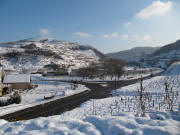 Oberbergen am 4.12.2010: Blick vom Abzweig Altvogtsburg nach Osten zum Badberg