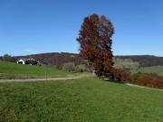 Blick nach Norden �ber den Rainweg zum  Ladenhof und Schauinsland am 9.10.2010