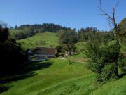 Blick nach Westen zum Riederhof in Harnischwald am 12.10.2010