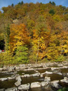 Blick �ber die Dreisam am Sandfang 29.10.2010 - Goldener Oktober