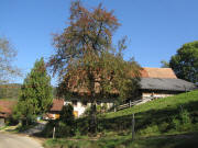 Blick nach Norden zum Scheer-Hof am 12.10.2010