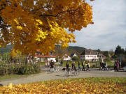 Bahn�bergang Freiburg-Littenweiler am 30.10.2010 um 12.37 Uhr - Druchgang bei geschlossenen Schranken