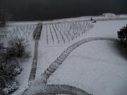 Seepark am 1.Advent 29.11.2010: Blick vom Aussichtsturm �ber den Weinberg zum See