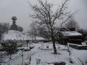 Seepark am 1.Advent 29.11.2010: Blick nach Osten �ber den �kogarten zum Turm