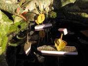 Segelschiffe am 14.11.2010