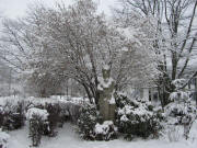  St.Barbara tief verschneit am 25.12.2010:um 9 Uhr 