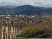 Tele-Blick vom Weinberg in St.Georgen nach Osten auf Freiburg am 7.11.2010