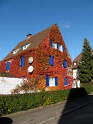 Haus in Littenweiler am 4.11.2010 - Wilder Wein