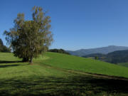 Blick nach Nordosten �bers Wildtalereck zum Kandel (rechts) am 11.10.2010