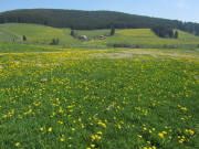 Blick von der Schildwende nach Osten zum Berggrunder Hof am 25.4.2011