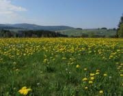 Breitnau-Hinterdorf am 25.4.2011: Blick nach S�dwesten zu Feldberg im Schnee  (links) und Hinterdorfstrasse