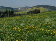 Blick vom Franzseppenhof nach Westen zu Breitnau und Rossberg (rechts) am 25.4.2011