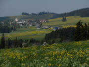 Blick vom Franzseppenhof nach Westen zu Breitnau und Rossberg (rechts) am 25.4.2011