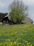 Spriegelsbach am 28.4.2011: Blick nach Nordwesten zum F�rsatzhof