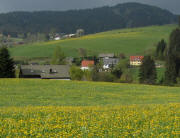 Blick nach Süden zum Gaiserhof in Hinterzarten-Windeck am 28.4.2011