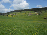 Spriegelsbach am 28.4.2011: Blick vom Zipfelhanessenh�usle nach Nordosten zum Joslehof, Kleiserhof und H�flerhof (von rechts)