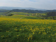 Kandelberg am 23.4.2011: Blick nach S�den �ber Rohr zur Lindleh�h