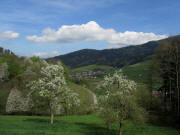 Blick vom Scheibenhof nach Nordwesten auf Kregelbach am 8.4.2011