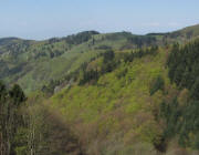 Blick vom Sittnerberg nach Westen zur Sonnhalde am 15.4.2011