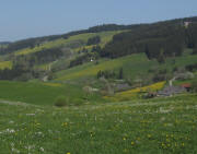 Blick von St.M�rgen nach Westen �ber den Kapfhof und Oberibental am 20.4.2011