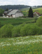 Blick nach S�den zum B�renhof in Saig am 1.5.2011