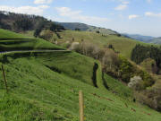 Sch�neck am Sittnerbergweg 15.4.2011: Blick nach S�den zu H�rhalde und Branden (hinten)