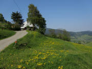 Weilersbach am 23.4.2011: Blick nach Westen zum Spitzh�usle