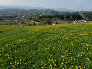 Blick vom Schmittenbach nach S�den �bers Gewerbegebiet St.Peter zum Lindenberg am 20.4.2011