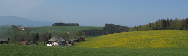 Blick nach S�dwesten �ber den Hinteren Willmenhof zum Heitzmannsberg am 20.4.2011