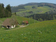 Blick nach Nordwesten �ber Heitzmannsbergh�usle  zum Kandelberg am 20.4.2011