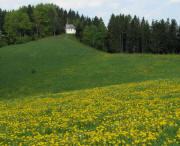 Blick nach Westen zur T�rlekapelle am 23.4.2011