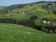 Zwerisberg am 20.5.2011: Blick nach Norden zu Dieschenhof und Bushof (Mitte)