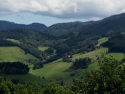 Immi am 8.8.2011: Blick nach Nordosten ins Wilersbach