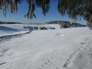 Blick nach Westen zum Glashof am 4.1.2011 bei -5 Grad und eisigem Wind