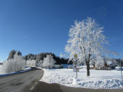 Blick nach Westen zum Gasthaus Kreuz und B 500 am 4.1.2010