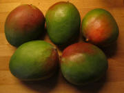Mango aus Peru am 22.1.2011 - 0,50 Euro je Stück