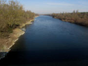Rhein bei Fessenheim - Blick nach Norden am 10.2.2011