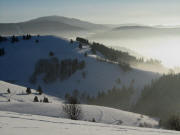 Schauinsland am 2.2.2011: Tele-Blick nach Süden über Sittener Berg bis zum Belchen - Nebel zieht hoch
