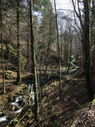 Stampfbachpfad am Begin in Neuhof 24.3.2011: Blick nach Osten