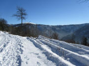 Blick  nach Osten vom Fu� des Ahornkopfs  zum Feldberg am 30.1.2011 - rechts unten das St.Wilhelmertal