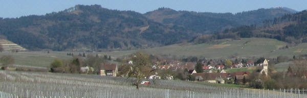 Blick nach Nordosten �ber Laufen in Richtung Sulzburg bis hoch zum schneebedeckten Belchen am 26.3.2011