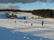 Blick nach Norden �ber die Loipe zum Teehof am 3.1.2011