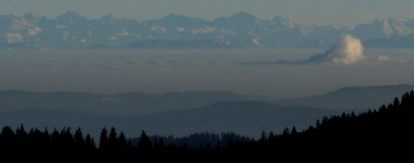 Tele-Blick vom Feldberg nach Süden zu den Alpen am 1.2.2011