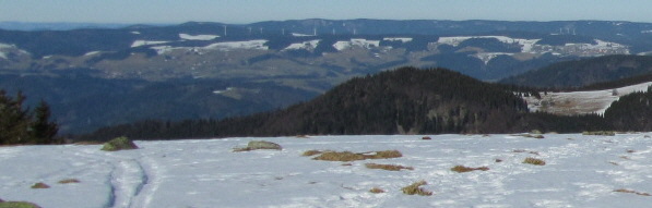 Tele-Blick von Tote Mann nach Norden zu den Windrädern von St.Peter-Platte und St.Märgen (rechts) a, 6.2.2011